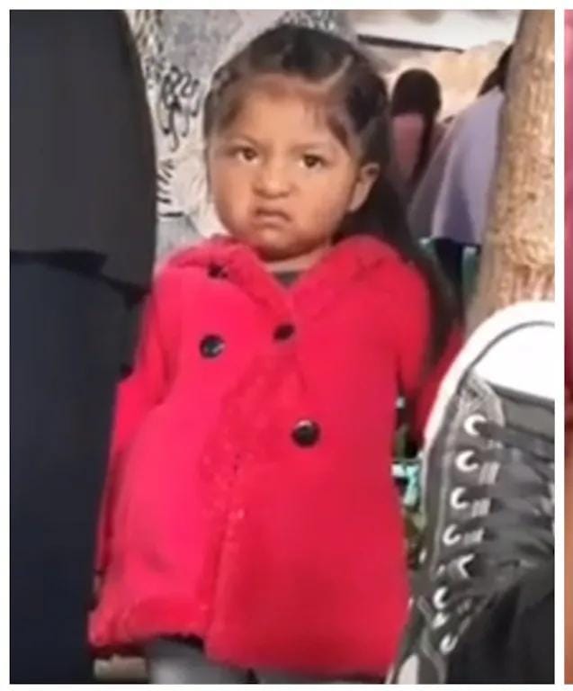 Los 10 memes que se hicieron virales en 2020 - Noticias de hoy en República Dominicana | De Último Minuto