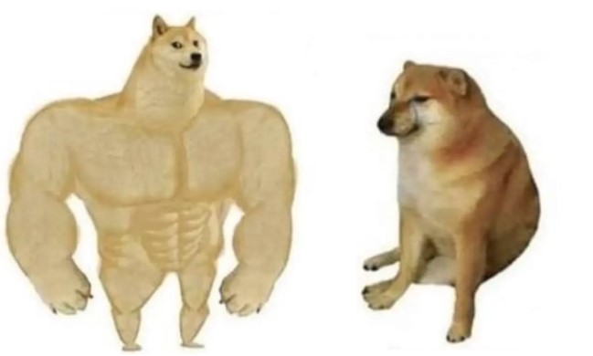 Los 10 memes que se hicieron virales en 2020 - Noticias de hoy en República Dominicana | De Último Minuto