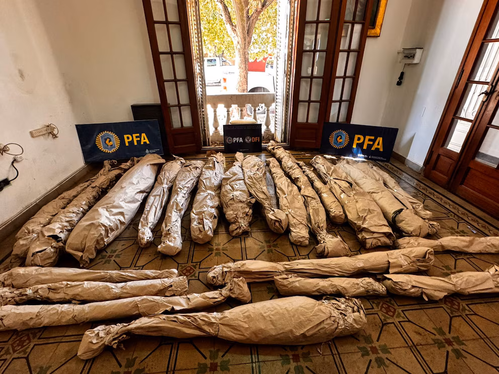 Macabro hallazgo en Argentina: un cultivador de marihuana escondía una colección de cráneos humanos | 3 | Macabro hallazgo en Argentina: un cultivador de marihuana escondía una colección de cráneos humanos - Noticias de hoy en República Dominicana | De Último Minuto