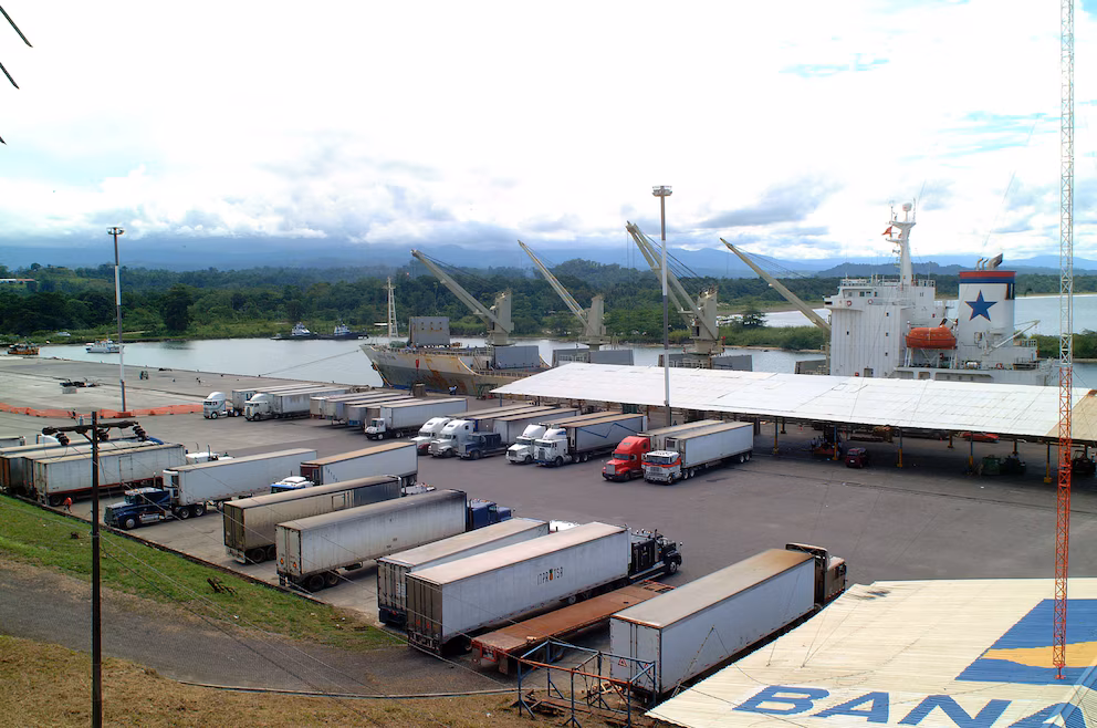 Autoridades costarricenses decomisan 73 kilos de cocaína ocultos en cargamento de verduras en Moín - Noticias de hoy en República Dominicana | De Último Minuto