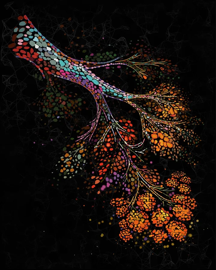 Desvelan por qué el riesgo de cáncer de mama aumenta tras la menopausia - Noticias de hoy en República Dominicana | De Último Minuto