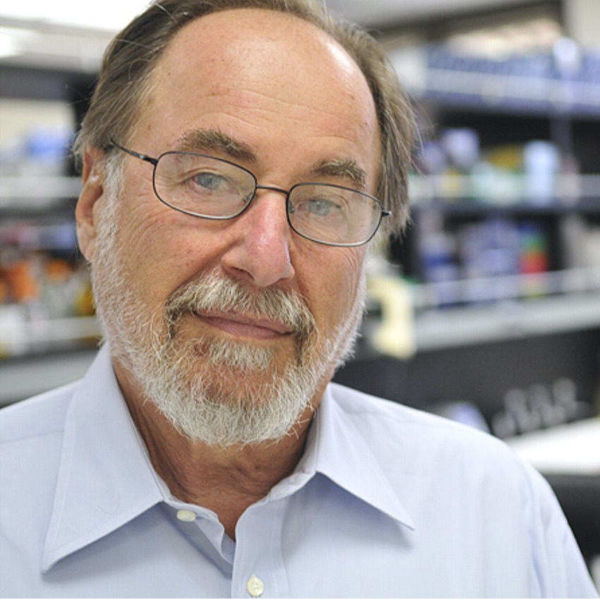 Efemérides del 7 de marzo - Noticias de hoy en República Dominicana | De Último Minuto