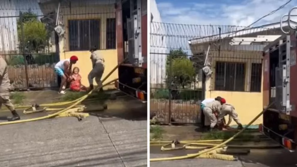 Fallece mujer de 55 años tras ataque de perros pitbull en Honduras | 2 | Fallece mujer de 55 años tras ataque de perros pitbull en Honduras - Noticias de hoy en República Dominicana | De Último Minuto