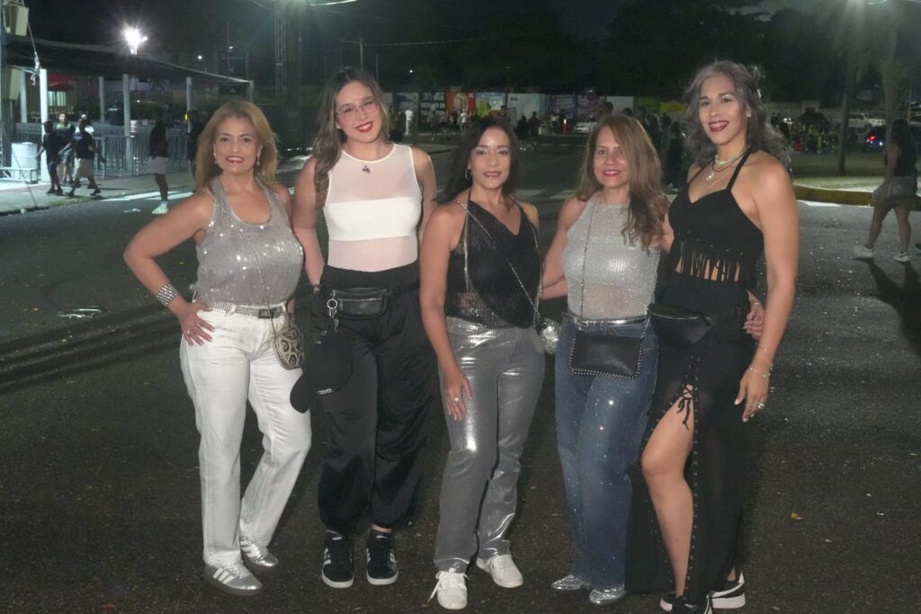 Fanáticos derrochan brillo, transparencia y mucha actitud en concierto de David Guetta - Noticias de hoy en República Dominicana | De Último Minuto