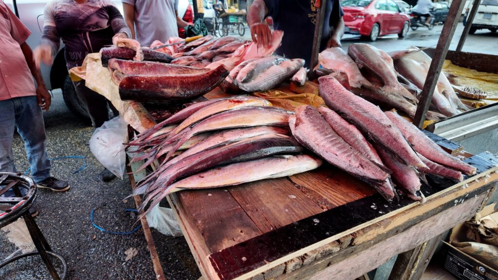 Vendedores de pescado aseguran que los costos se han mantenido; precios rondan desde RD$200 la libra - Noticias de hoy en República Dominicana | De Último Minuto