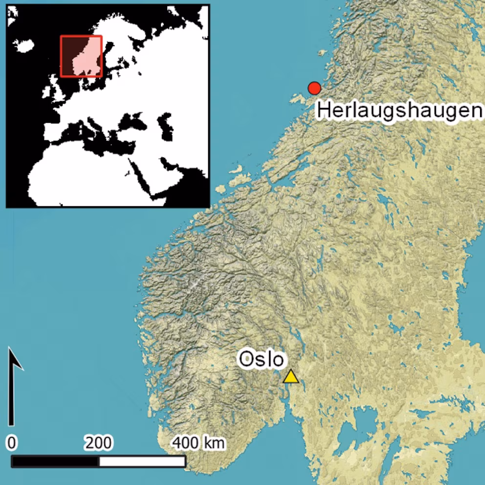 Descubren en Noruega partes de un barco sepultado que antecede a los vikingos - Noticias de hoy en República Dominicana | De Último Minuto