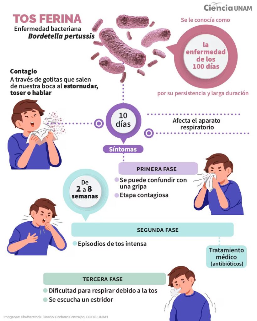 Tosferina en Honduras deja 10 muertos y más de 120 contagios en lo que va del año - Noticias de hoy en República Dominicana | De Último Minuto
