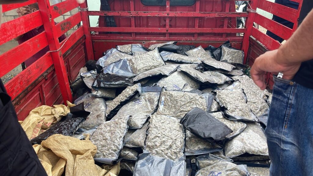 Autoridades interceptan en Azua a conductor de camión con 151 paquetes de presunta marihuana sintética | 2 | Autoridades interceptan en Azua a conductor de camión con 151 paquetes de presunta marihuana sintética - Noticias de hoy en República Dominicana | De Último Minuto