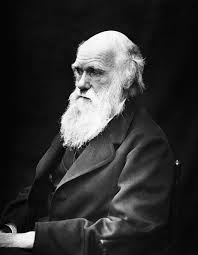 Charles Darwin, padre de la teoría de la evolución por selección natural.