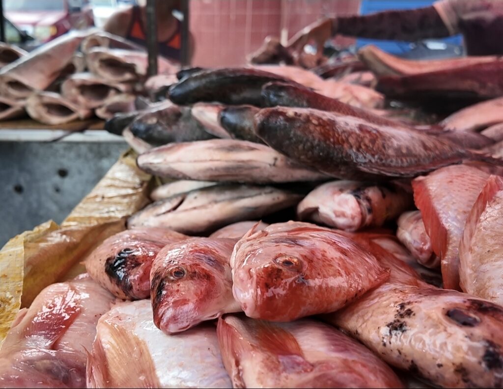 Vendedores de pescado aseguran que los costos se han mantenido; precios rondan desde RD$200 la libra - Noticias de hoy en República Dominicana | De Último Minuto