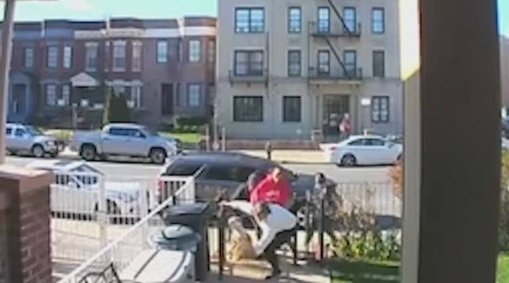 Violenta agresión a una anciana en Brooklyn tras pedir que recojan excrementos de perro - Noticias de hoy en República Dominicana | De Último Minuto