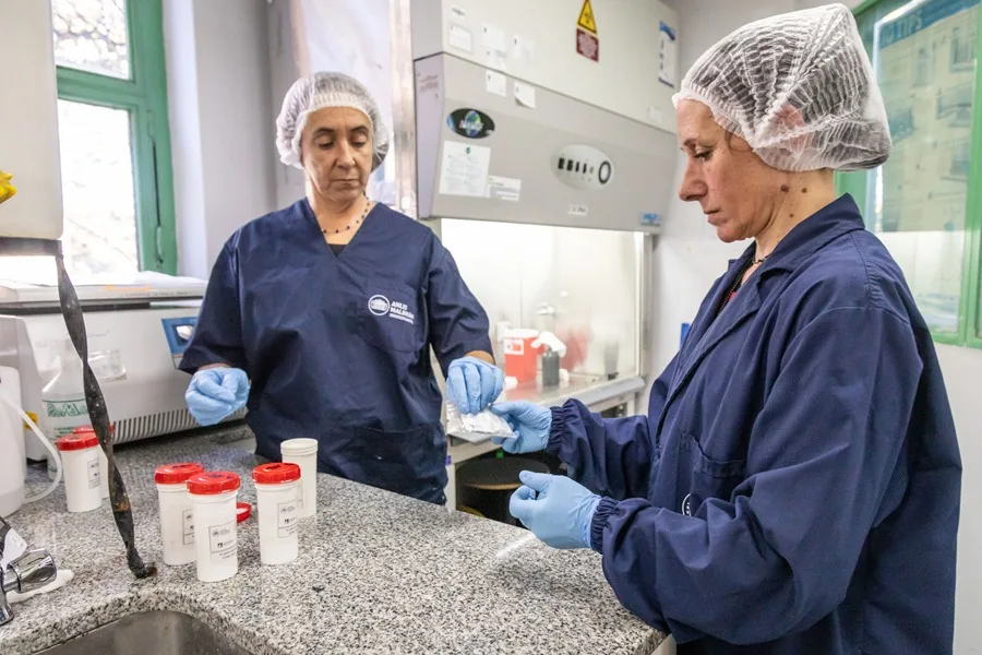 Argentina envía a países de África y Europa insumos para diagnosticar hantavirus - Noticias de hoy en República Dominicana | De Último Minuto