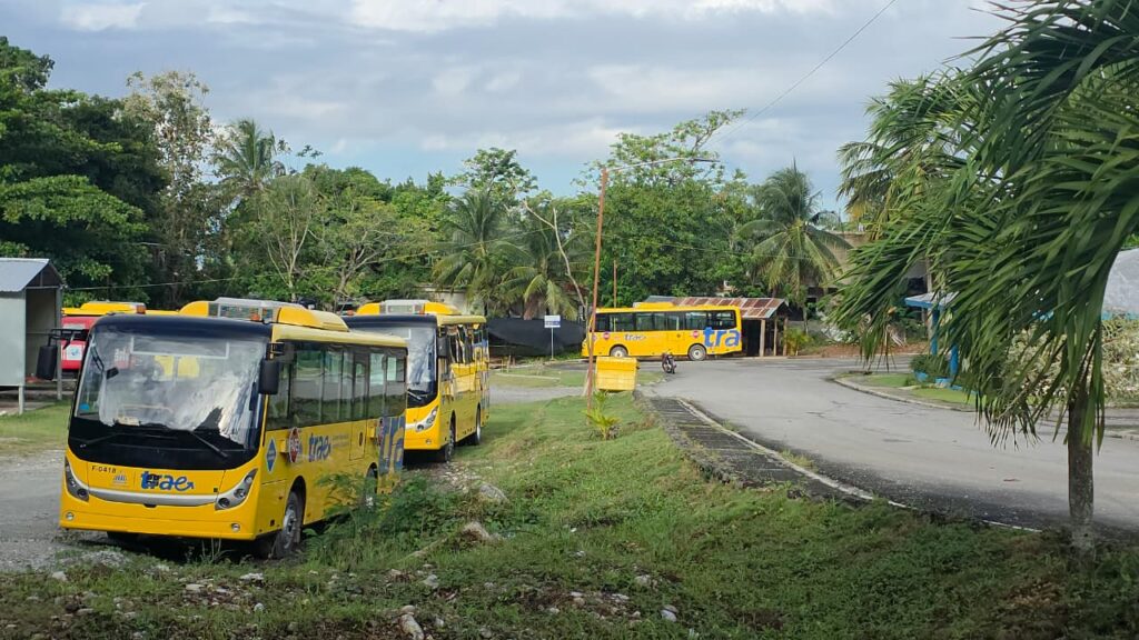 Denuncian "cementerio" de autobuses escolares del programa TRAE en Samaná. - Noticias de hoy en República Dominicana | De Último Minuto