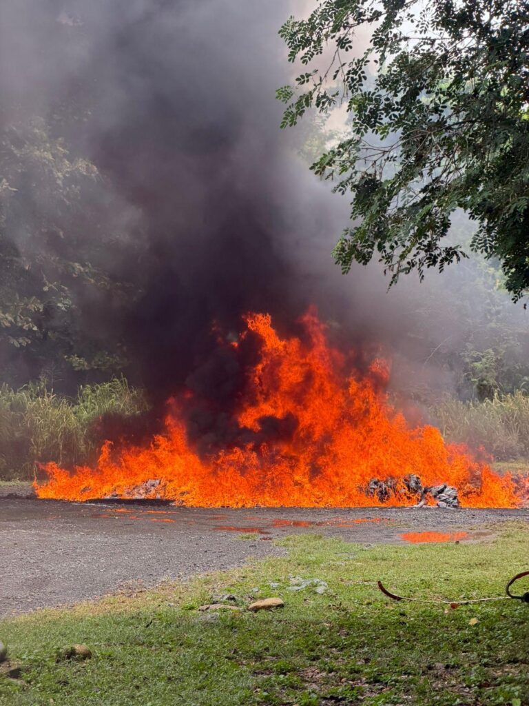 Inacif destruye más de 960 kilogramos de drogas ocupadas en operativos antinarcóticos - Noticias de hoy en República Dominicana | De Último Minuto