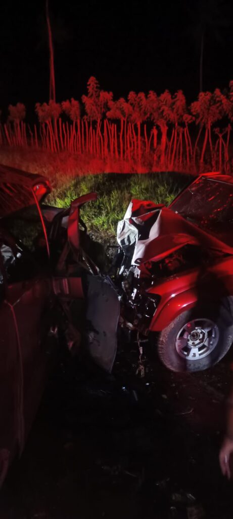 Dos franceses mueren y cinco resultan heridos en accidente en El Catey | 3 | Dos franceses mueren y cinco resultan heridos en accidente en El Catey - Noticias de hoy en República Dominicana | De Último Minuto