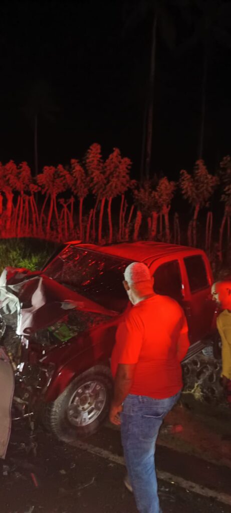 Dos franceses mueren y cinco resultan heridos en accidente en El Catey | 6 | Dos franceses mueren y cinco resultan heridos en accidente en El Catey - Noticias de hoy en República Dominicana | De Último Minuto