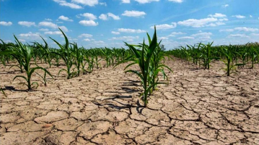 La tierra nos necesita: El 17 de junio se conmemora el Día Mundial de Lucha contra la Desertificación y la Sequía | 2 | La tierra nos necesita: El 17 de junio se conmemora el Día Mundial de Lucha contra la Desertificación y la Sequía