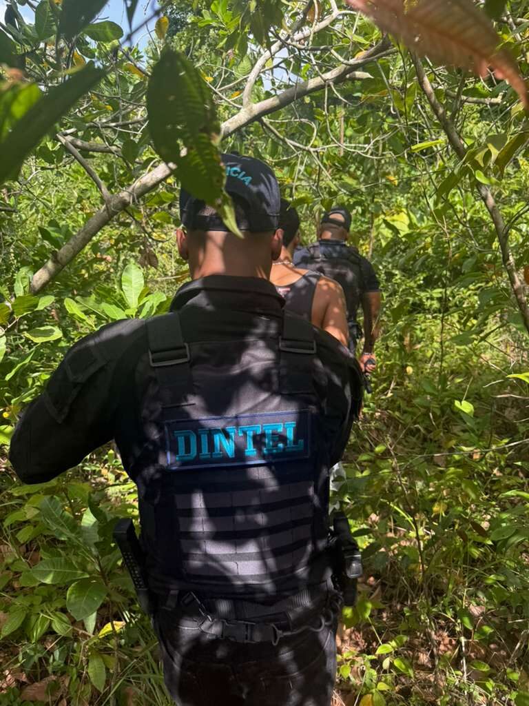 DINTEL apresa dos personas y ocupa armas de fuego ilegales y presuntas drogas en Cotuí | 10 | DINTEL apresa dos personas y ocupa armas de fuego ilegales y presuntas drogas en Cotuí - Noticias de hoy en República Dominicana | De Último Minuto