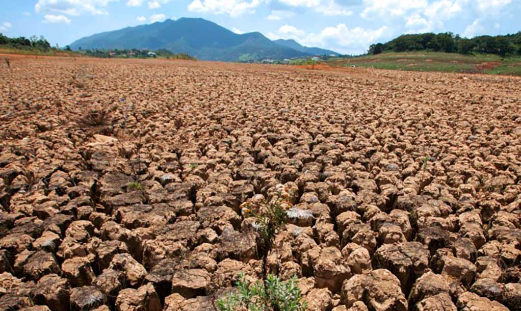 La tierra nos necesita: El 17 de junio se conmemora el Día Mundial de Lucha contra la Desertificación y la Sequía | 1 | La tierra nos necesita: El 17 de junio se conmemora el Día Mundial de Lucha contra la Desertificación y la Sequía