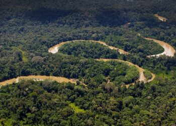 Detienen a dos empresarios y dos funcionarios por contrabando de oro en la Amazonía