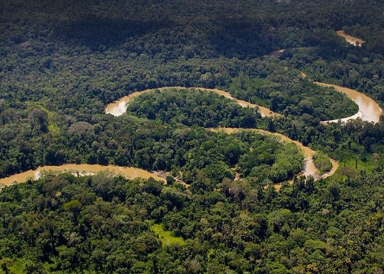 Detienen a dos empresarios y dos funcionarios por contrabando de oro en la Amazonía