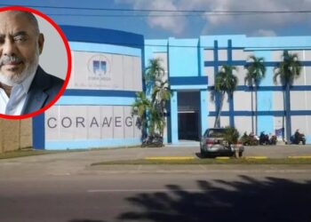 Expresidente del Codia denuncia «licitaciones corruptas» en Coraavega