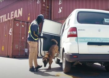 Refuerzan aeropuertos con agentes y unidades caninas  por Navidad