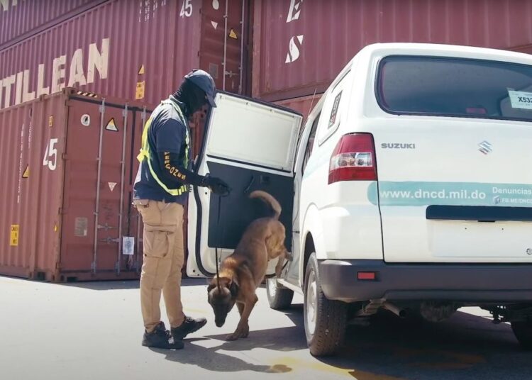 Refuerzan aeropuertos con agentes y unidades caninas por Navidad