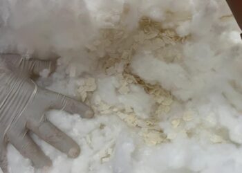 Iban a Francia: Descubren dos cojines rellenos de fibras de cocaína