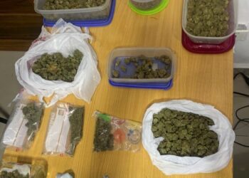 PN incauta más de 600 gramos de presunta marihuana durante allanamiento en La Romana