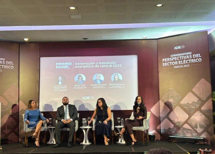 Expertos discuten la transformación del sector eléctrico en la República Dominicana
