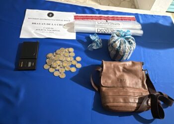 DNCD, MP y PN incautan más de 600 mil gramos de drogas; apresan 982 personas 