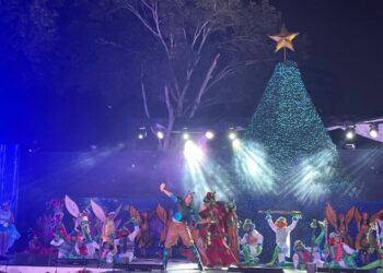 Alcalde de Santiago enciende arbolito 2024 e invita a recibir en armonía “la magia y el encanto navideños”