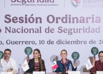Sheinbaum pide a los gobernadores de México unirse a su estrategia de seguridad