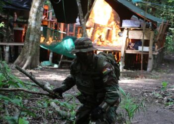 Fuerza antidrogas de Bolivia destruye un «megalaboratorio» de cristalización de cocaína