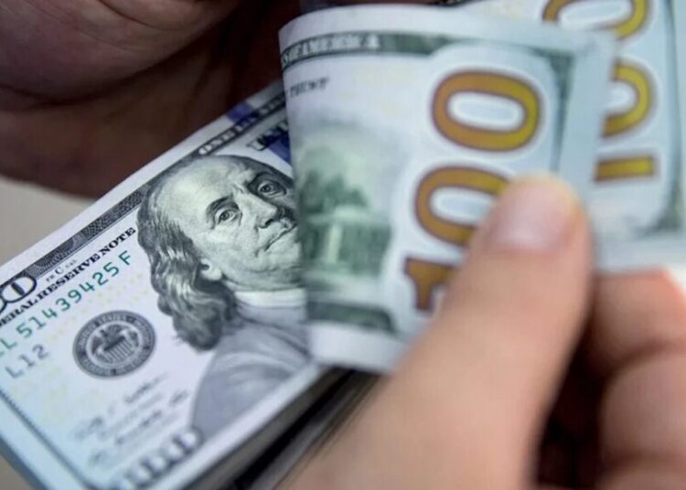 Tasa del dólar para este viernes 13 de diciembre de 2024