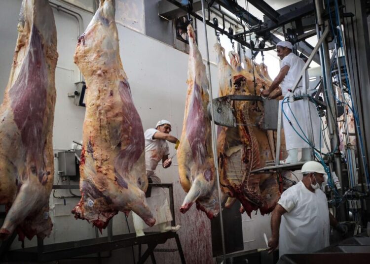 Exportaciones uruguayas aumentan un 5 % en noviembre y llegan a 1.025 millones de dólares