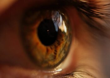 Hong Kong presenta IA que diagnostica enfermedades oculares con mayor certeza que médicos