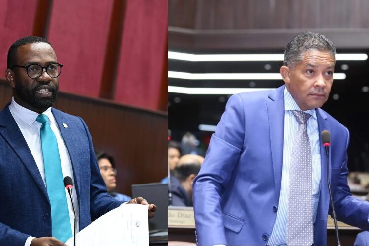 Diputados Cedeño y Carlos De Pérez a favor de «buscar equilibrio» en tema de cesantía para reforma laboral