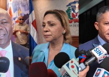 Diputados PRM están de acuerdo con Paliza sobre prohibición de proyectos presidenciales a destiempo