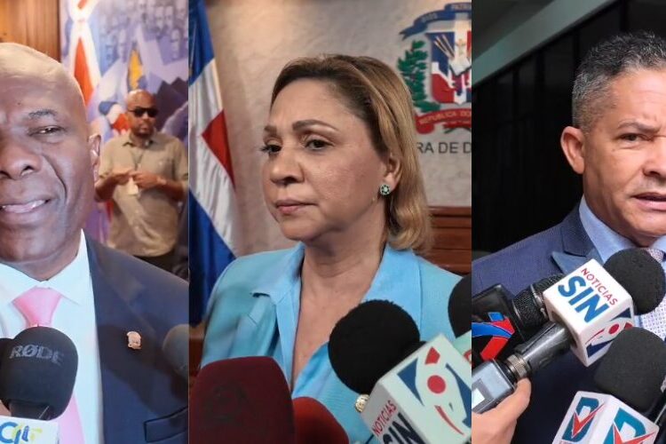 Diputados PRM están de acuerdo con Paliza sobre prohibición de proyectos presidenciales a destiempo