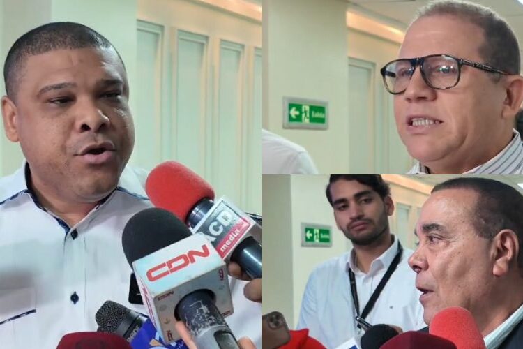 Diputados apoyan decisión de TC de anular la ley que crea la DNI