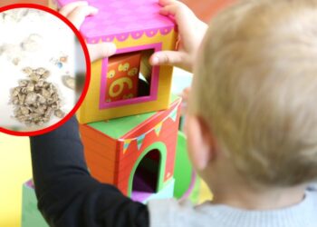 Acusan a un dominicano por tráfico de drogas en guardería de Massachusetts