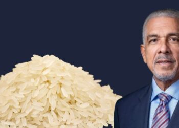 Manuel Amézquita apoya decreto de Abinader que resguarda arroz dominicano