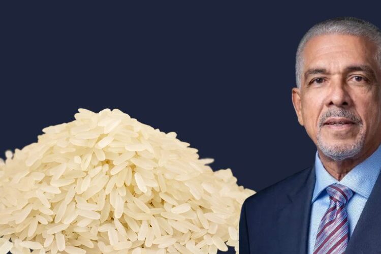 Manuel Amézquita apoya decreto de Abinader que resguarda arroz dominicano