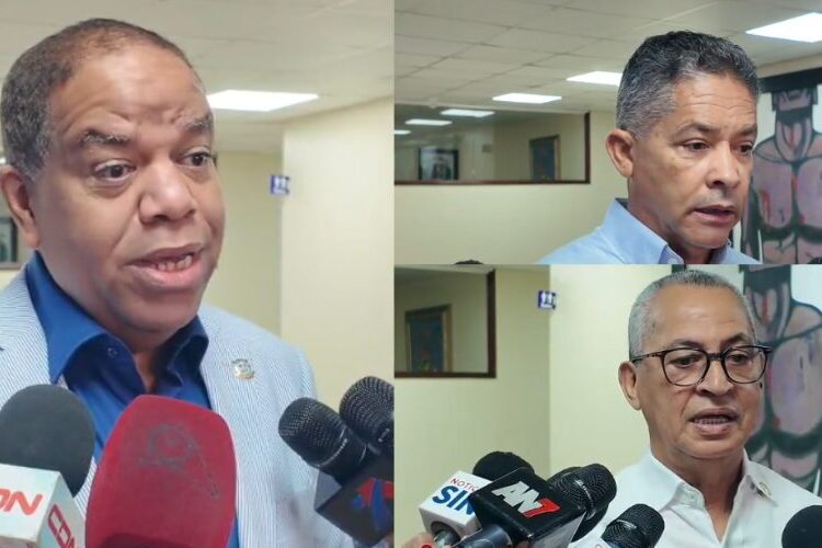 Diputados sugieren Abinader debe responder al presidente de Guatemala sobre droga incautada en Caucedo