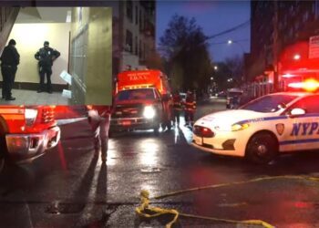 Hallan 12 kilos de fentanilo en edificio de El Bronx donde operan tres guarderías