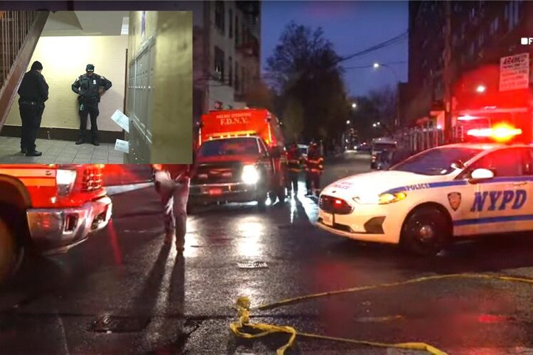 Hallan 12 kilos de fentanilo en edificio de El Bronx donde operan tres guarderías