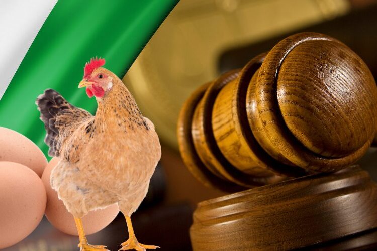 Prometen perdón en Nigeria a un joven condenado a muerte por robar pollos y huevos