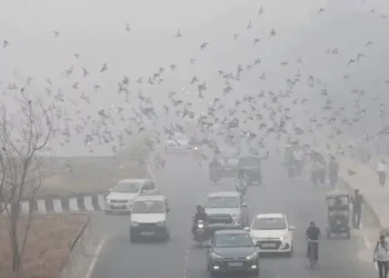 Contaminación del aire en Nueva Delhi alcanza el máximo nivel de riesgo por segundo día